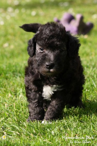 Arc-en-ciel Antares 2009-06-17 (18).JPG